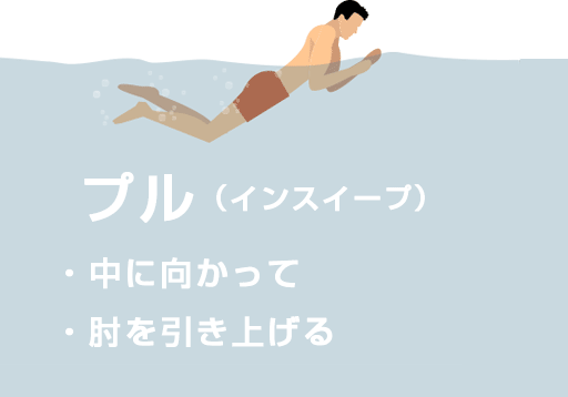 平泳ぎのストローク「プル（インスイープ）］のイラスト