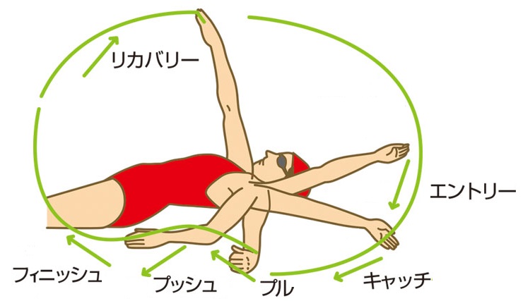 背泳ぎのストローク図解