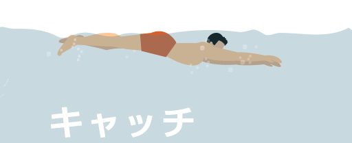 平泳ぎの泳ぎ方アニメーション動画