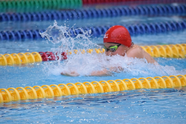 平泳ぎをする水泳選手