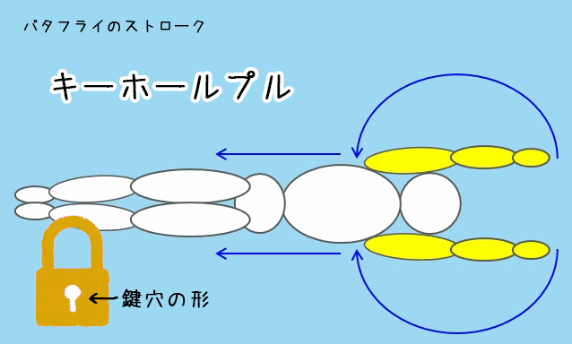 バタフライのストロークのプルの種類「キーホールプル」