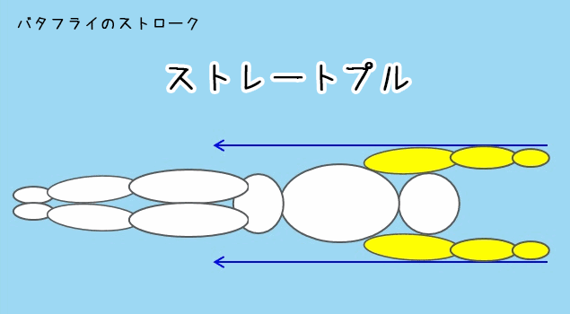 バタフライのストロークのプルの種類「ストレートプル」