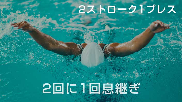 バタフライの息継ぎの回数は2ストローク1ブレスだと2回に1回